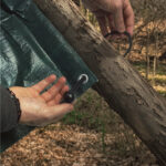 Bungee Ball Cord Loop Ties 25cm Securing Around Tree